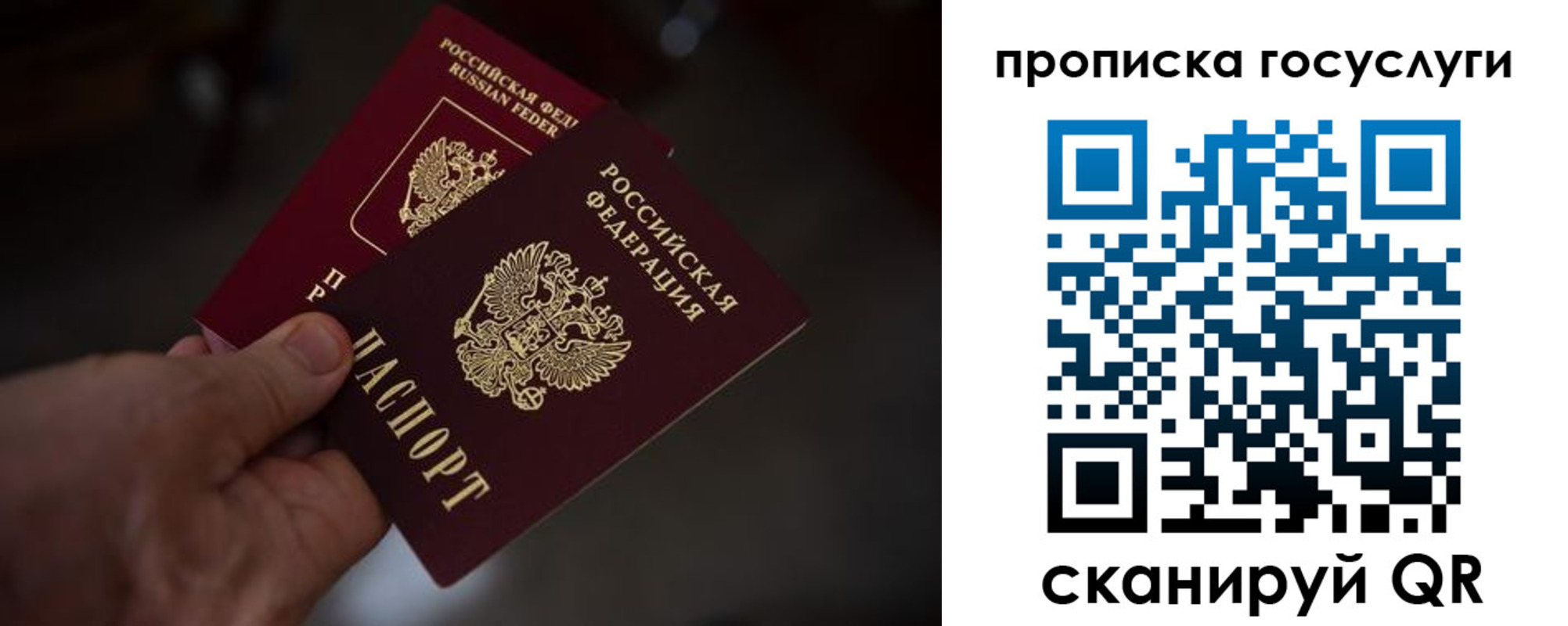 прописка ребенка в Апатитах