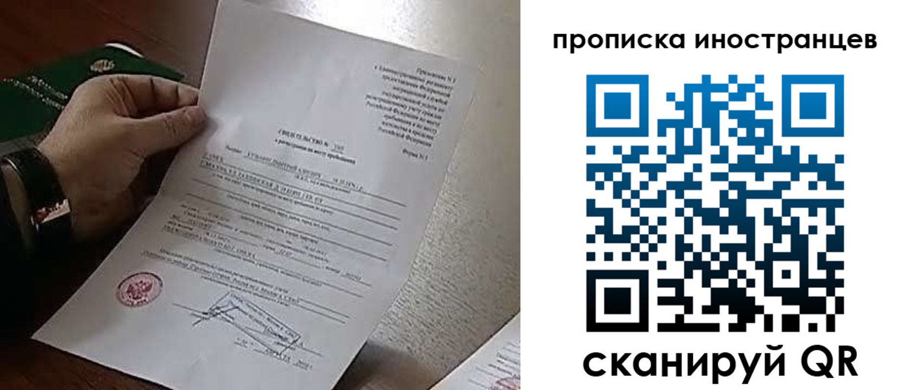 прописка поиск в Апатитах